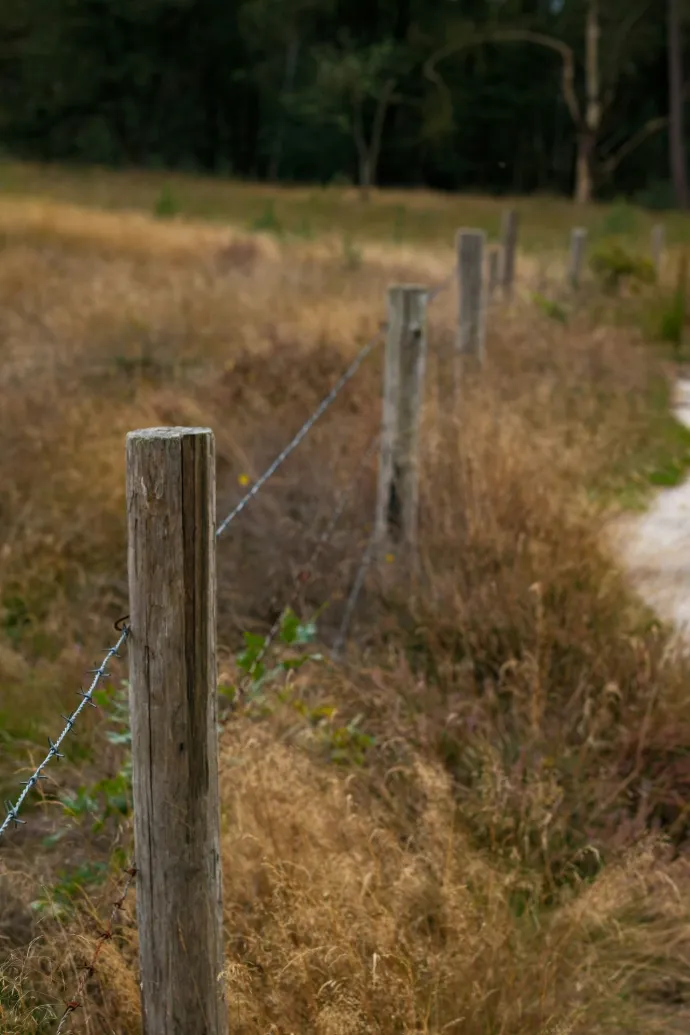 Custom rural fencing and boundary clearing on an acreage property in the Shoalhaven region